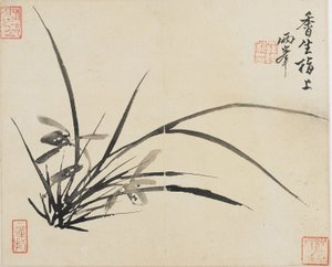 Tájképek, virágok és madarak: orchidea, Qing-dinasztia, 1780 (tinta papíron)